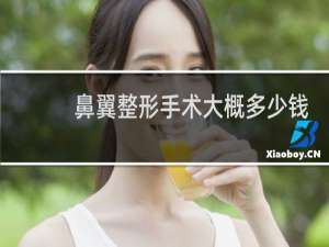 鼻翼整形手术大概多少钱