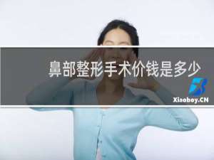 鼻部整形手术价钱是多少