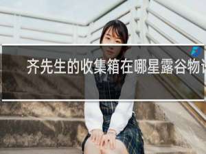 齐先生的收集箱在哪星露谷物语