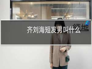 齐刘海短发男叫什么