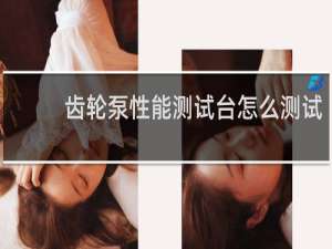 齿轮泵性能测试台怎么测试