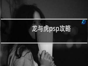 龙与虎psp攻略