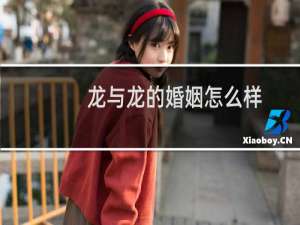 龙与龙的婚姻怎么样