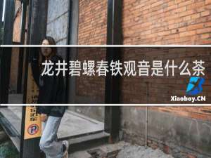 龙井碧螺春铁观音是什么茶