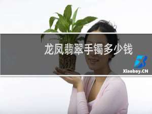 龙凤翡翠手镯多少钱