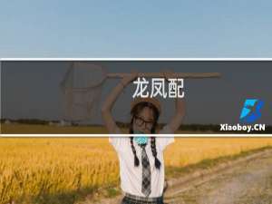 龙凤配（沙市特产）