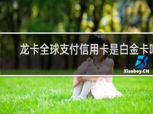 龙卡全球支付信用卡是白金卡吗