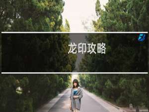 龙印攻略