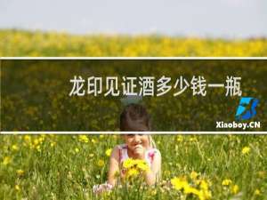 龙印见证酒多少钱一瓶