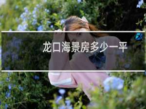 龙口海景房多少一平