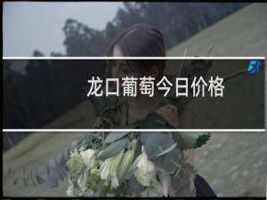 龙口葡萄今日价格