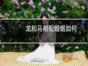 龙和马相配婚姻如何