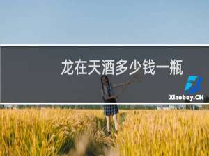 龙在天酒多少钱一瓶