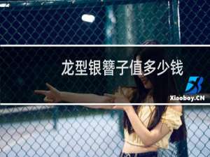 龙型银簪子值多少钱