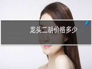 龙头二胡价格多少