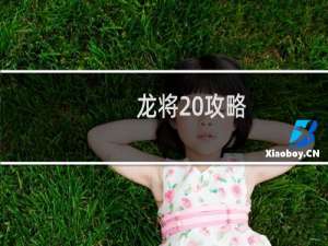 龙将 攻略