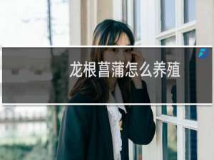 龙根菖蒲怎么养殖