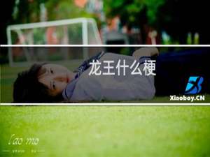 龙王什么梗