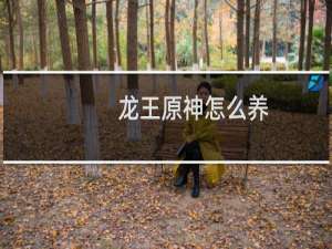 龙王原神怎么养