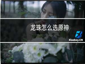 龙珠怎么选原神