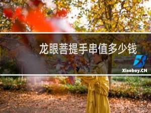 龙眼菩提手串值多少钱