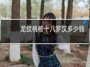 龙纹桃核十八罗汉多少钱