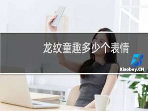 龙纹童趣多少个表情