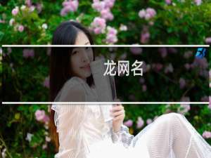 龙网名