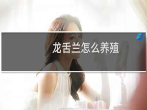 龙舌兰怎么养殖