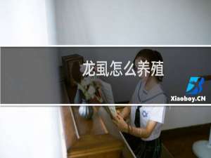 龙虱怎么养殖