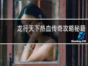 龙行天下热血传奇攻略秘籍