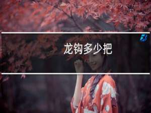 龙钩多少把