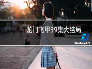 龙门飞甲39集大结局（剧情内容介绍）