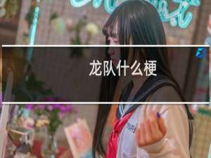 龙队什么梗