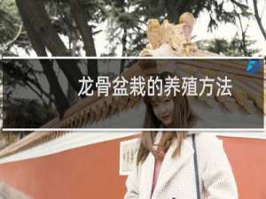 龙骨盆栽的养殖方法
