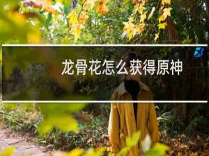 龙骨花怎么获得原神