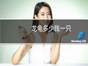 龙龟多少钱一只