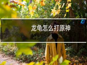 龙龟怎么打原神