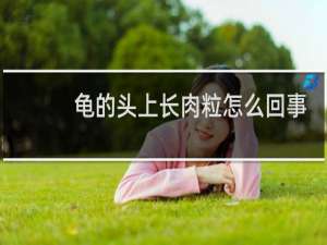 龟的头上长肉粒怎么回事图片