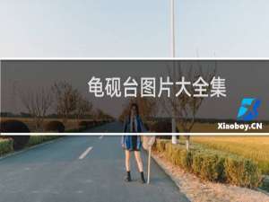 龟砚台图片大全集