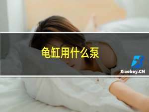 龟缸用什么泵