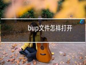 .bup文件怎样打开