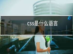 .css是什么语言