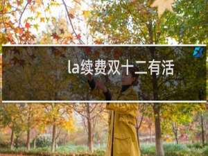 .la续费双十二有活动吗