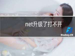 .net升级了打不开-其他问题