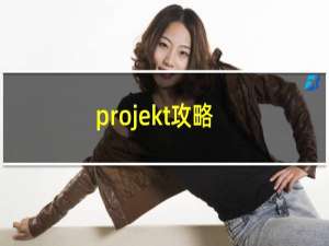 .projekt攻略