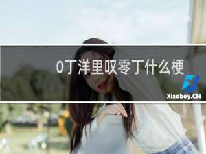 0丁洋里叹零丁什么梗