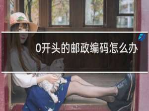 0开头的邮政编码怎么办