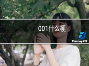 001什么梗