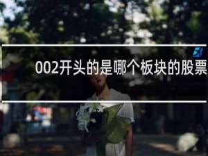 002开头的是哪个板块的股票